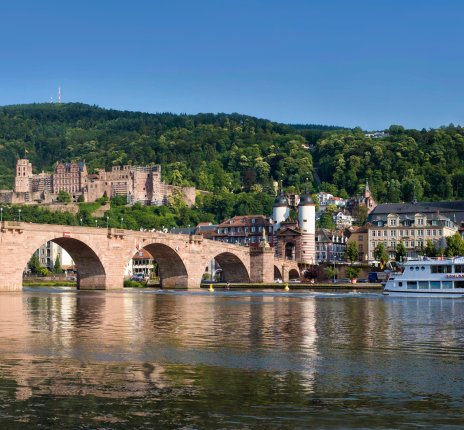 Neckarpanorama - Heidelberg © eyetronic-fotolia.com