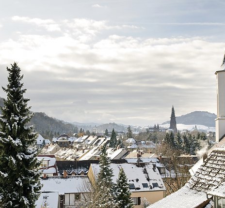 Blick auf winterliches Freiburg © FWTM/ Schoenen