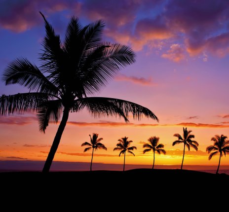 Sonnenuntergang auf Hawaii © leekris-fotolia.com