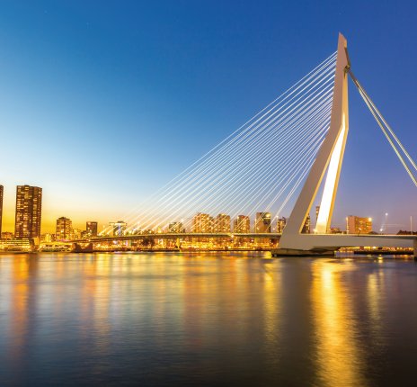 Erasmusbrücke in Rotterdam © vichie81-fotolia.com