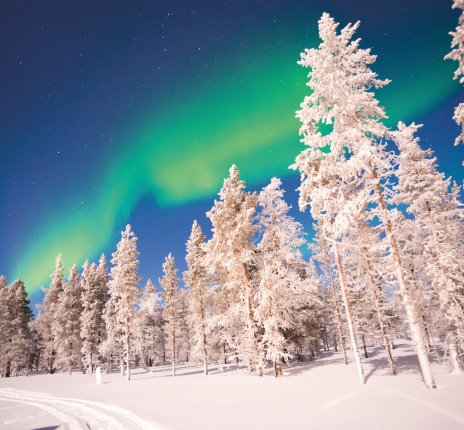 Nordlichter - Aurora Borealis in Lappland © Delphotostock-fotolia.com