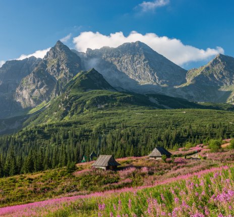 Landschaft Hohe Tatra © tomeyk - stock.adobe.com