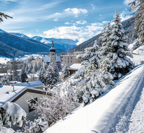 Davos im Winter © borisbelenky - stock.adobe.com