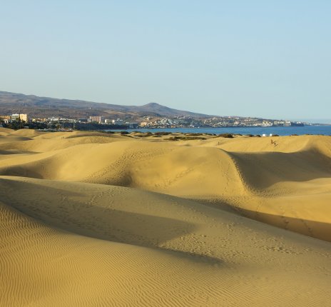 Dünen an der Küste Gran Canarias © Fotimmz-fotolia.com