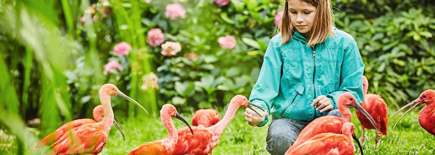 Weltvogelpark Walsrode