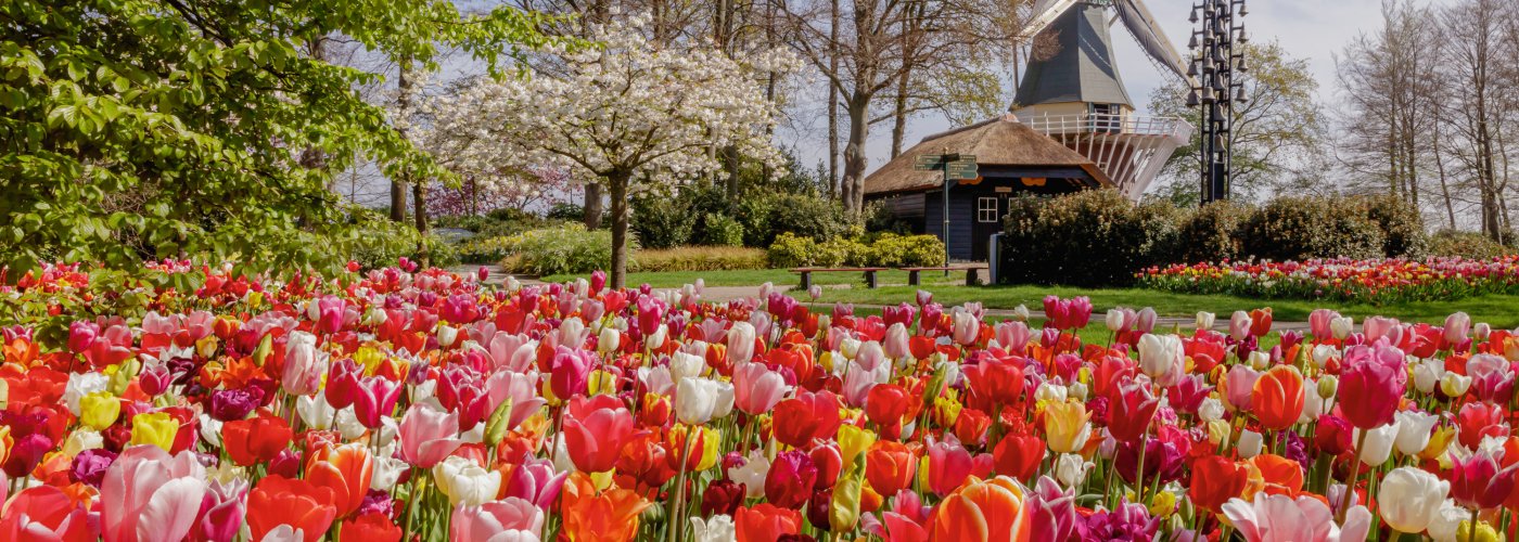 Keukenhof